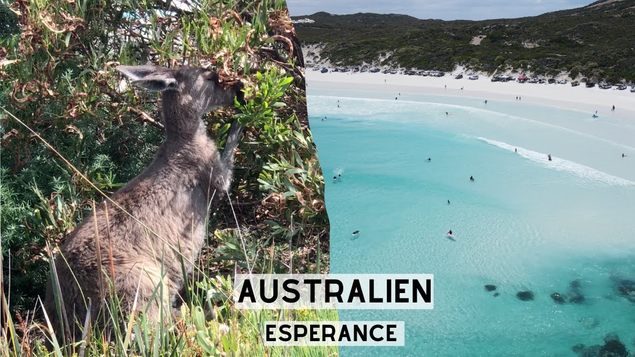 Weltreise VLOG 72 - Australien: Mit dem Camper von Perth nach ESPERANCE! Autopanne & Kängurus! 2/8