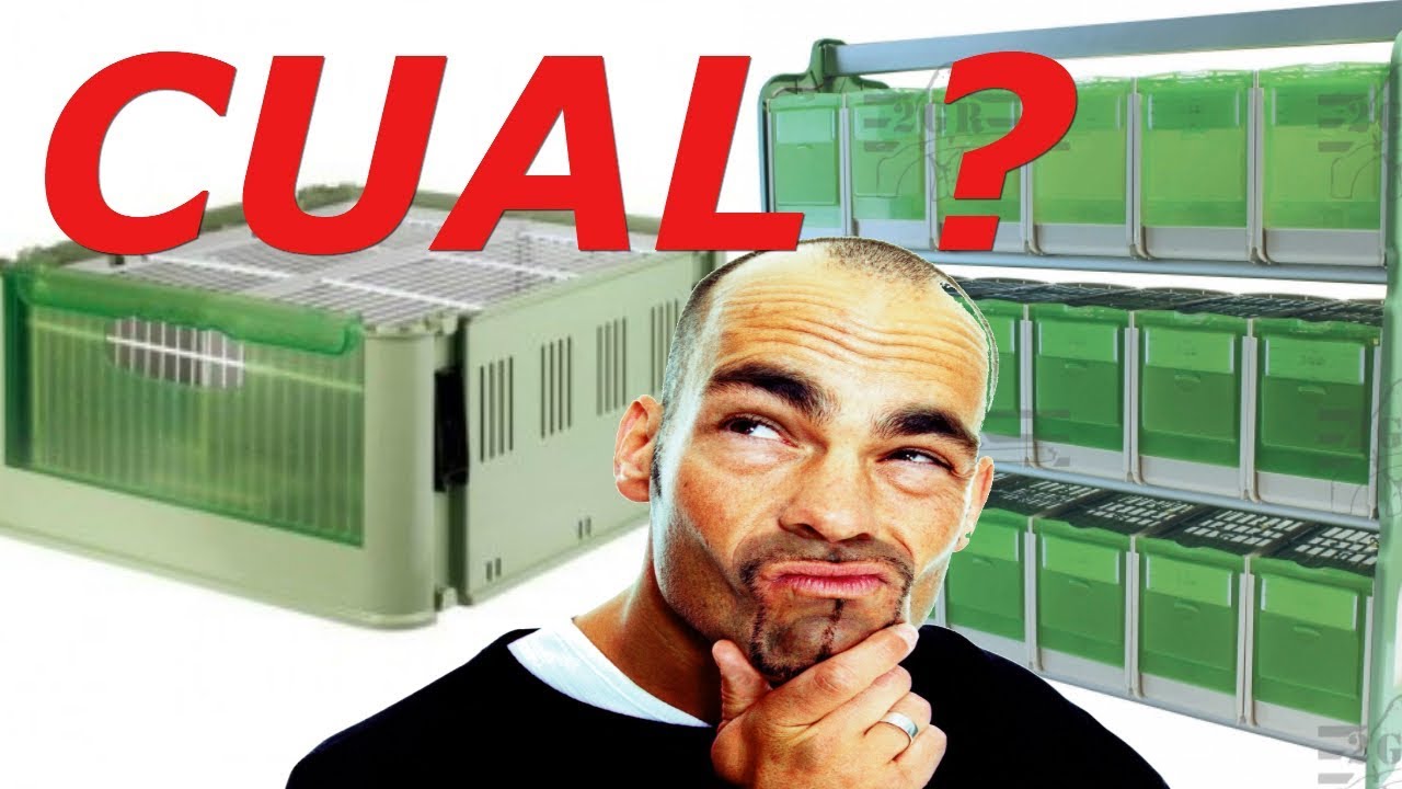 CUAL COMPRO PARA CONCURSO? (TRANSPORTINES)