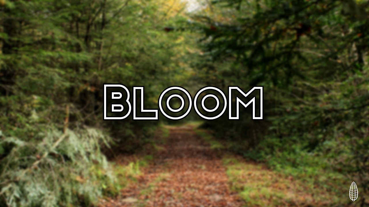 DefinitelyCorn - Bloom