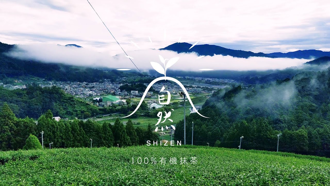 SHIZEN -自然-　静岡川根100%有機抹茶