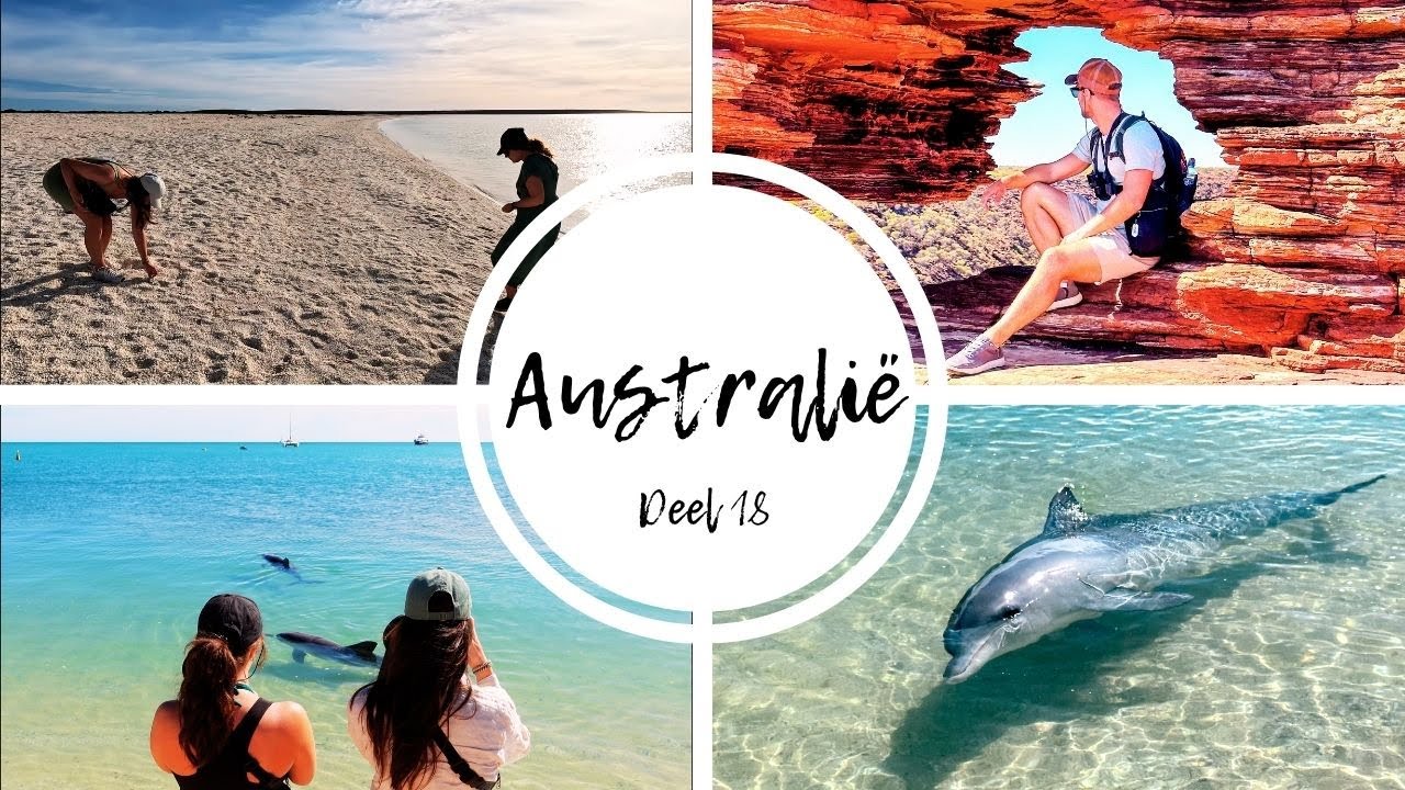 WEST-AUSTRALIË | SCHELPJES zoeken op SHELL BEACH & MONKEY MIA! | #wereldreis - REISVLOG 40