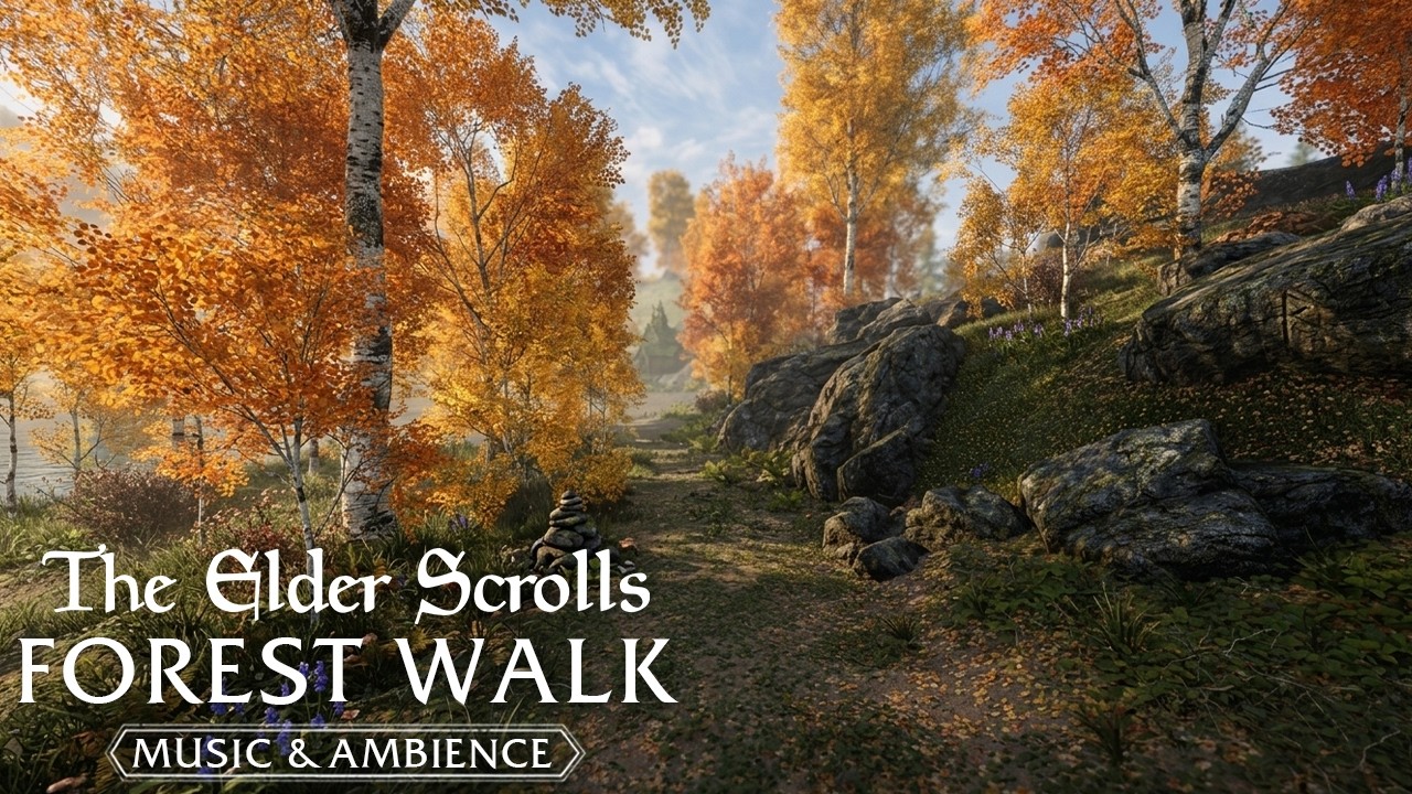 Forest Walk in Skyrim | 4 Hours Music and Ambience
