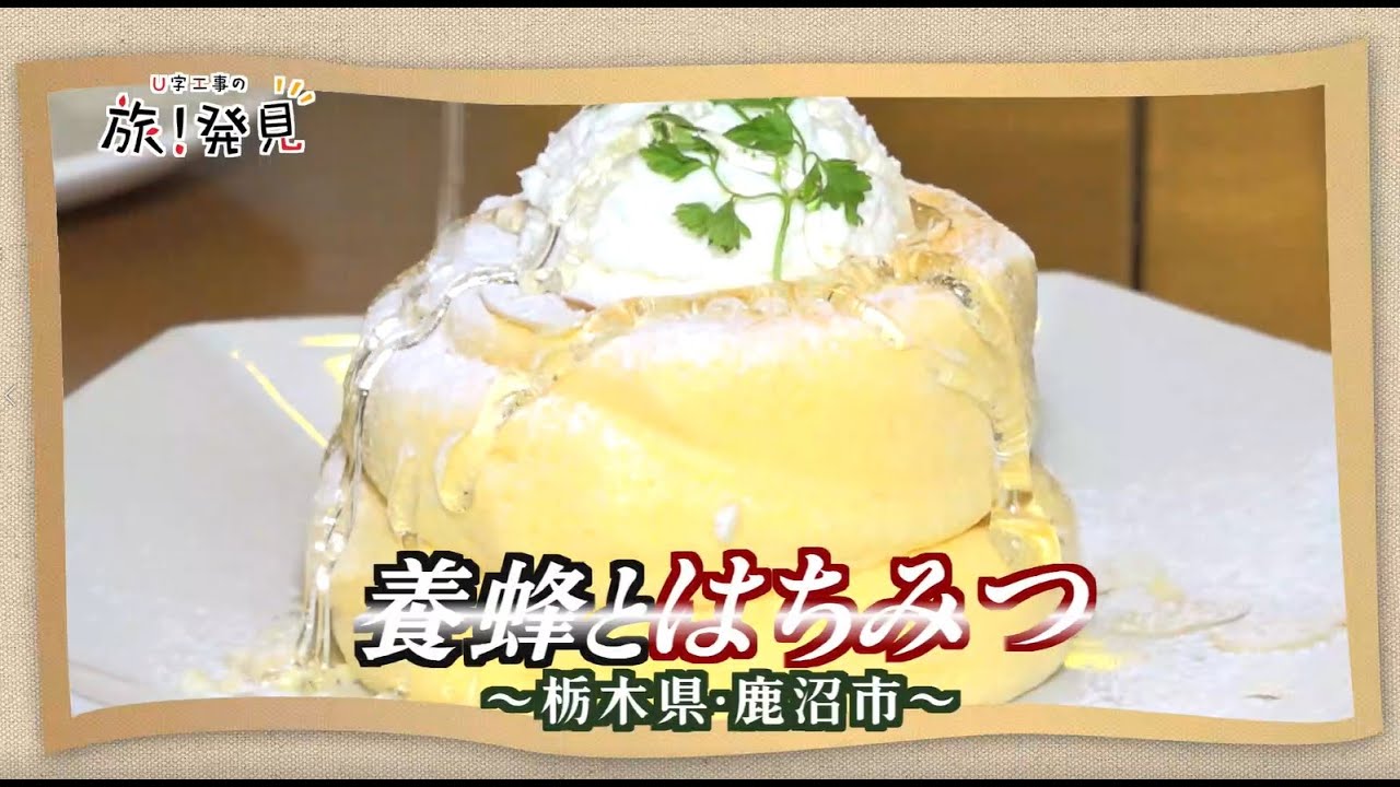 U字工事の旅！発見#178　養蜂とはちみつ　～栃木県・鹿沼市～