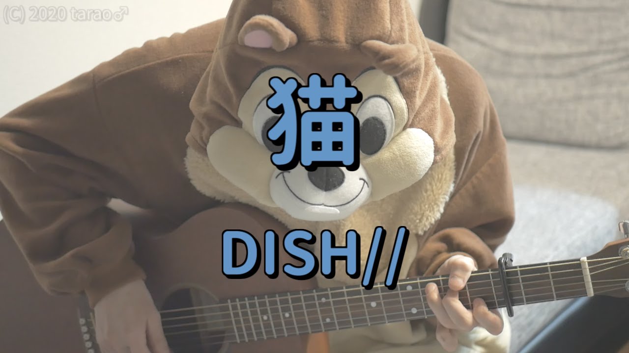 猫／DISH//／ギターコード