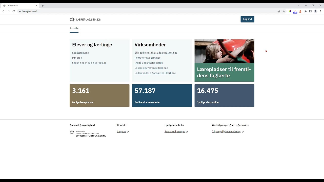 Sådan bruger virksomheder Lærepladsen.dk