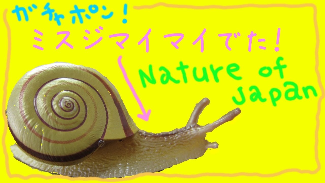 【ネイチャーテクニカラー】Nature of Japan 日本のいきものvol 03　【ガチャポン】