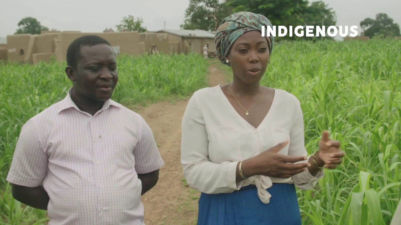 Why is the use of millet declining in Ghana?