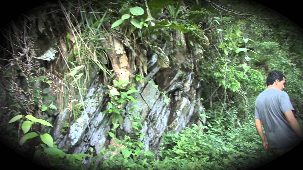 Trailer Oophaga Histrionica Red Head Documentary