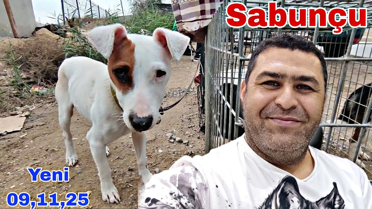 Sabun&ccedil;u İT Bazarı  9 Noyabr 2025