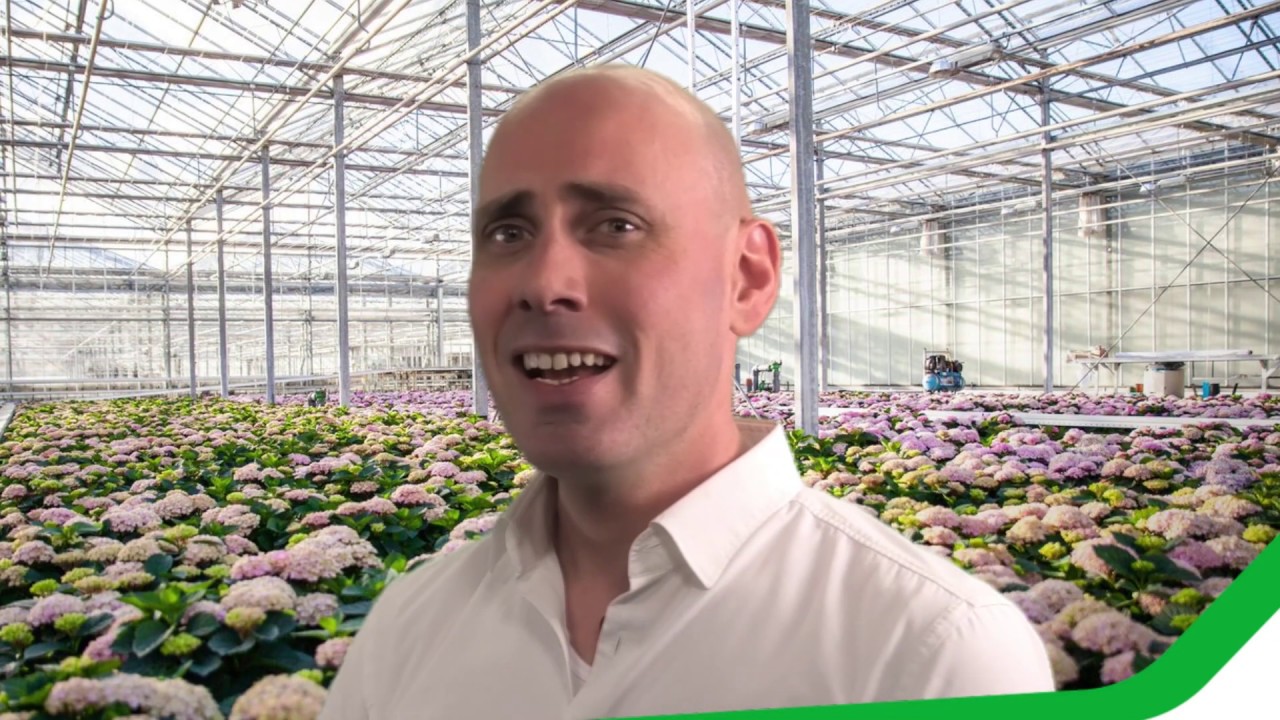 Production planning for potted plant growers | Software for Horticulture | Agriware