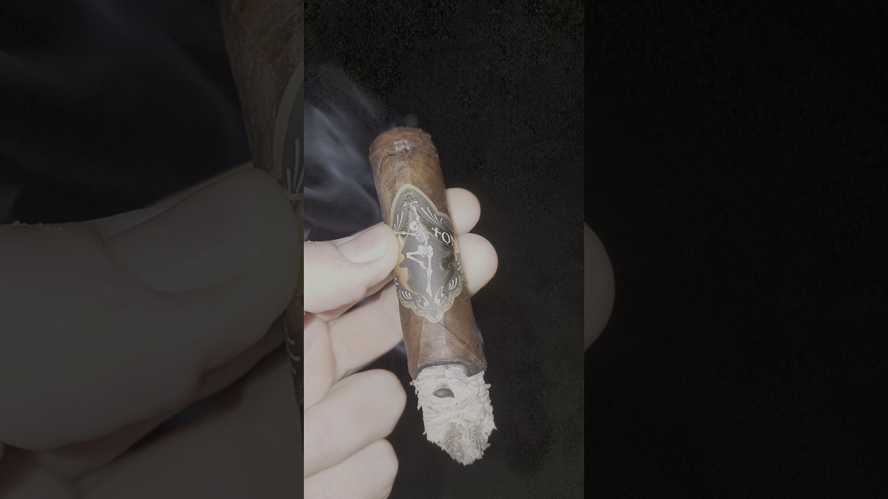 | SKELTON | ROBUSTO | 