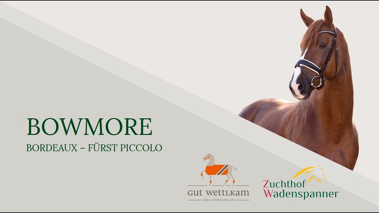 Bowmore  2023 ENG