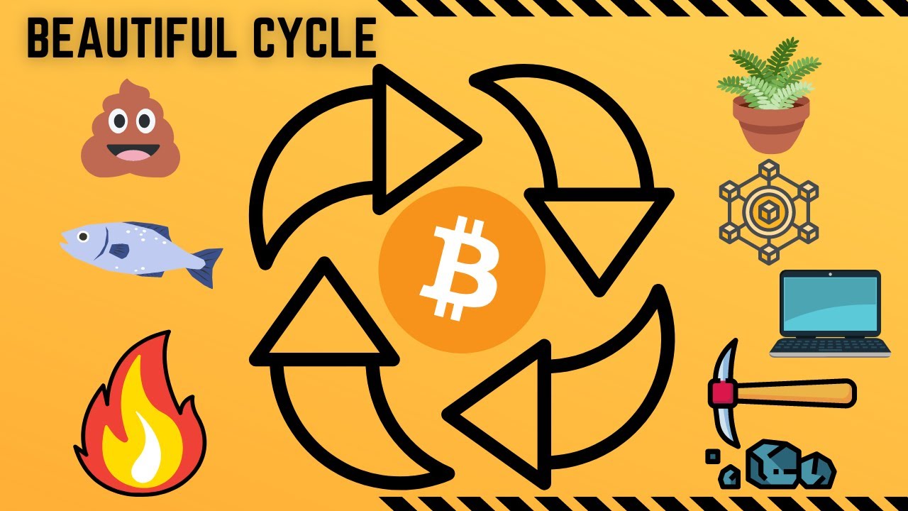 The Most Beautiful Cycle - BITCOIN!