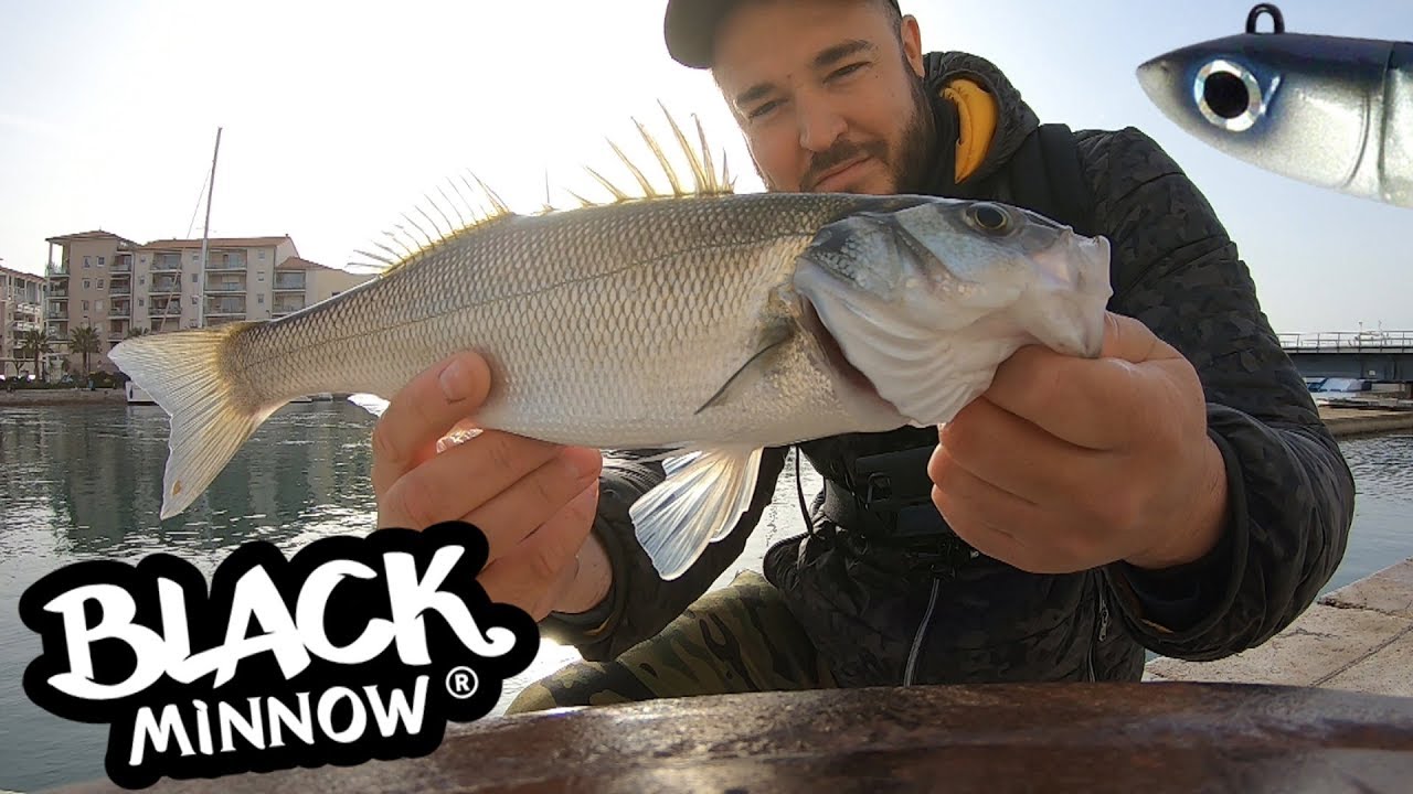 Техника ловли окуня на мягкую приманку: Black Minnow Fiiish
