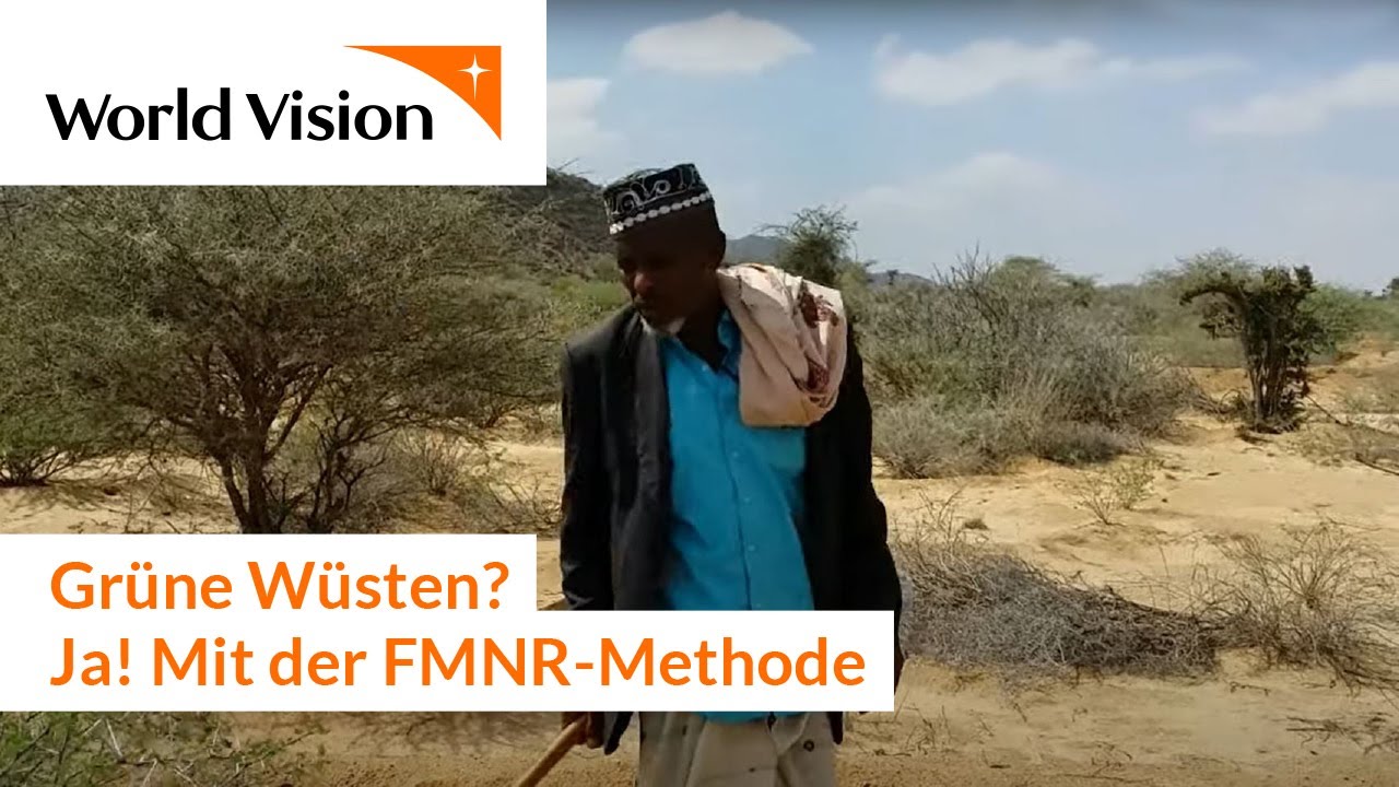 Gr&uuml;ne W&uuml;sten? Ja - mit der FMNR-Methode