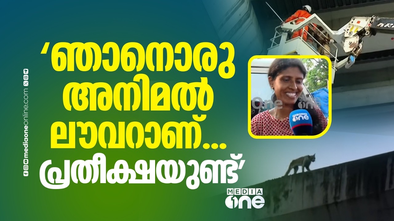 'പൂച്ചക്ക് ഭക്ഷണവും കൂടും വെച്ചിട്ടുണ്ട്...11 മണിക്ക് മെട്രോ പവർ സപ്ലൈ ഓഫ് ചെയ്യുമ്പോൾ ശ്രമം തുടരും'