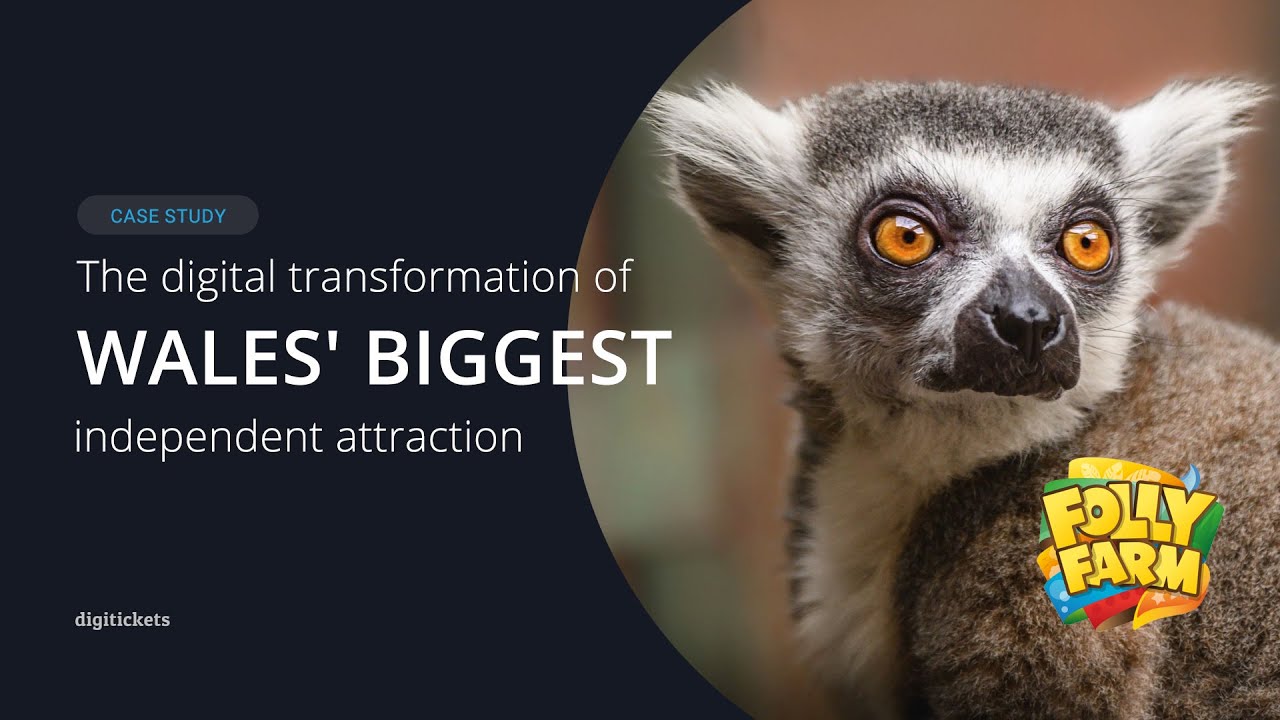 Folly Farm: The digital transformation of Wales’ biggest independent attraction