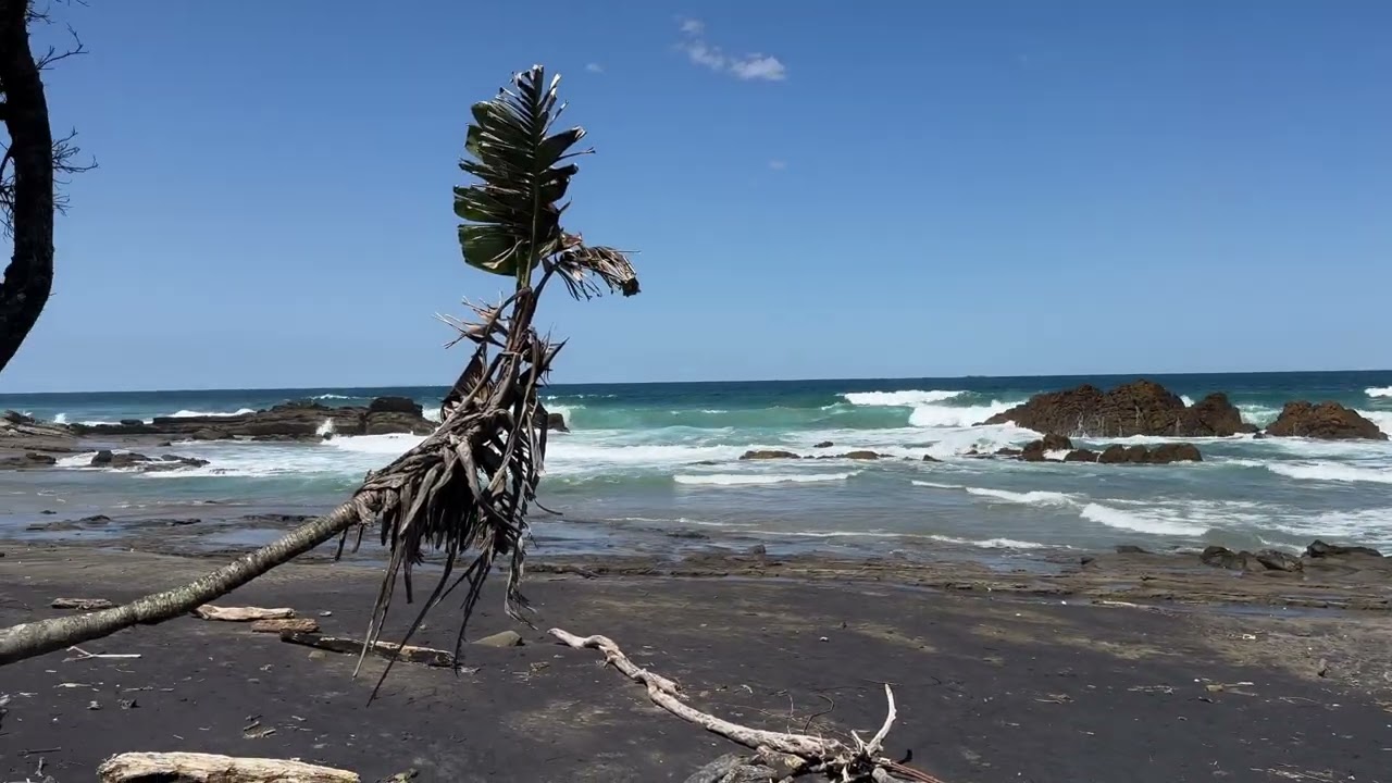 Wild Coast 2024 Part 5   4K