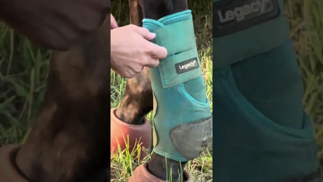 Splint boots for barrel racing info, sizing, fit and use