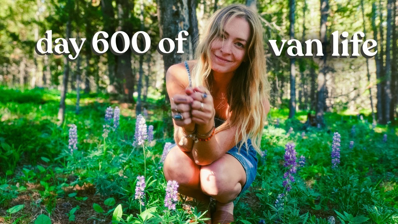 day 600 of van life: stuck in motion, thoughts on documenting my life, why wanderlust is a trap