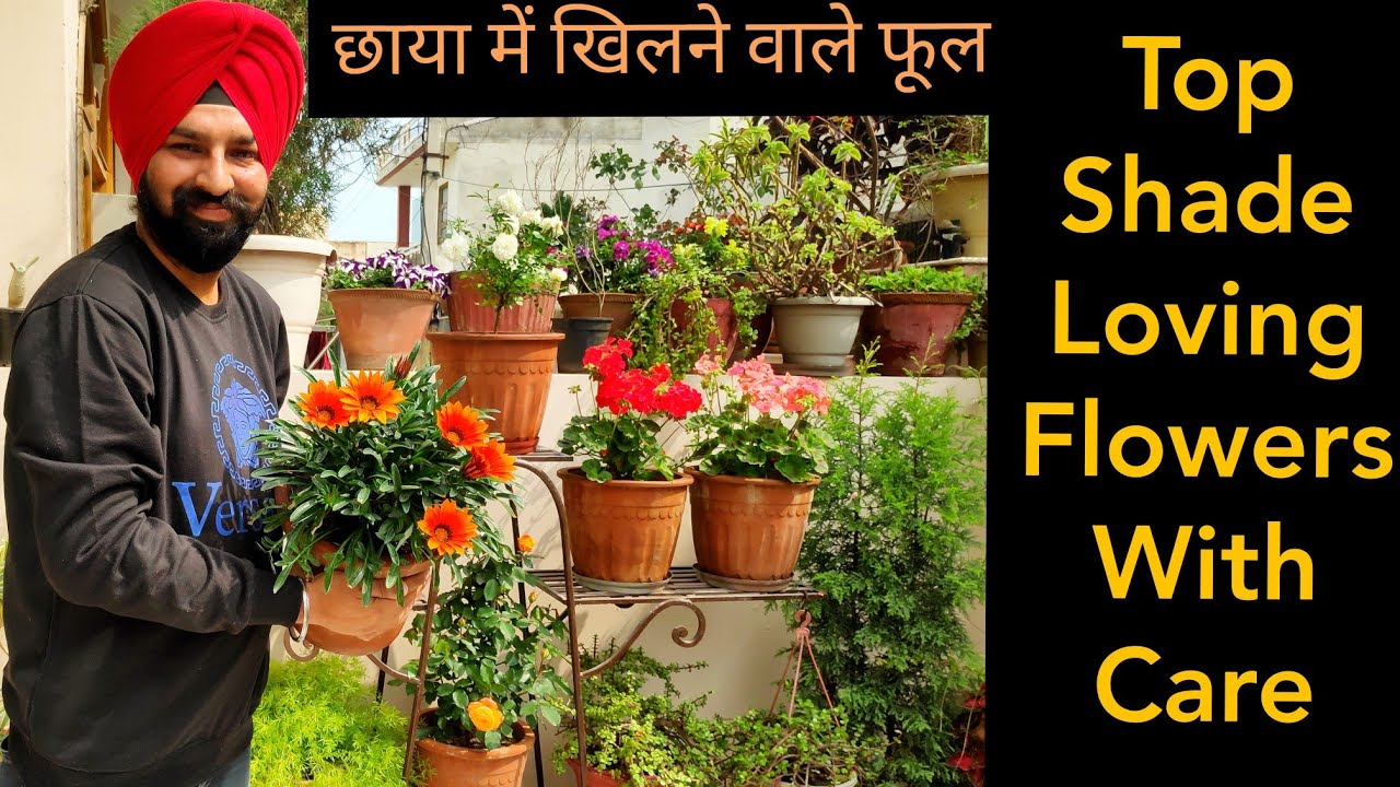 Best Shade loving flowers with names n care, छाया में खिलने वाले फूल