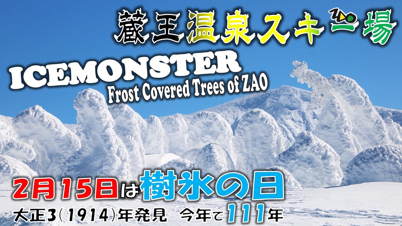 【蔵王温泉スキー場】樹氷の日に樹氷鑑賞＆撮影滑走【20250215 前編】