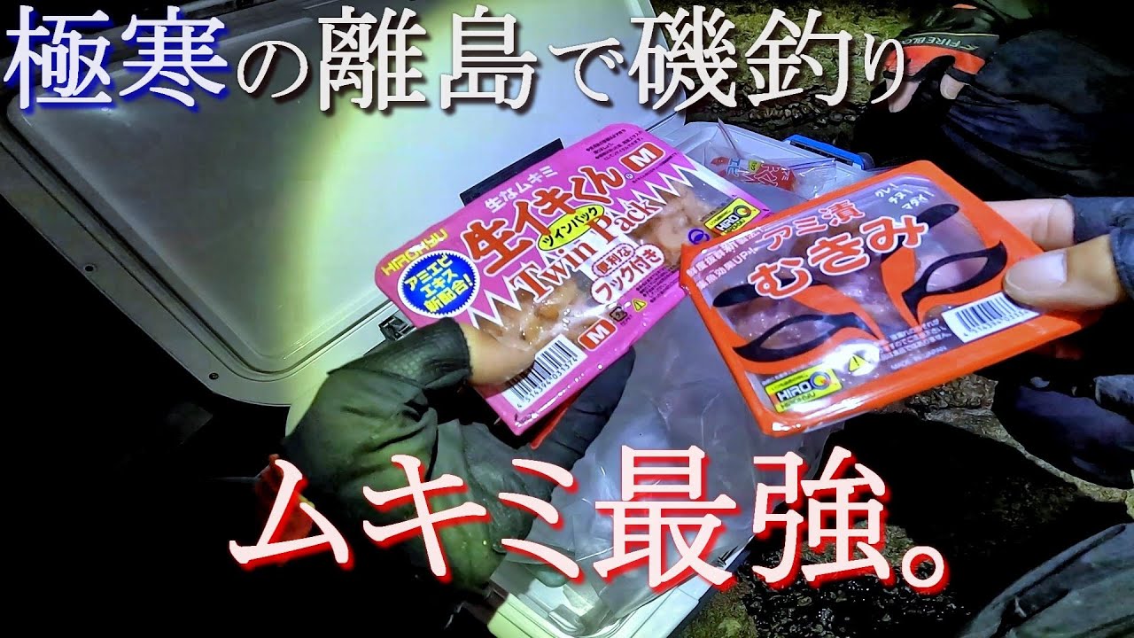 【フカセ釣り】極寒の佐尾鼻灯台で磯釣り!やっぱムキミしか勝たん‼