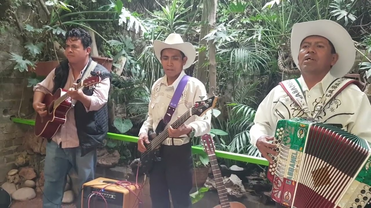 Trio Furia Norteña...Originarios de la Laguna Grande Tilantongo...en Portal Mixteco