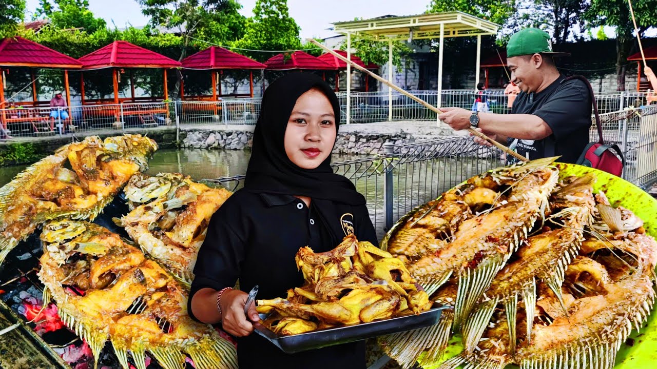 STRESS HILANG!! Mancing Gratis Sepuasnya, Makan Ikan Bakar Paket Lengkap cuma 20 Ribu