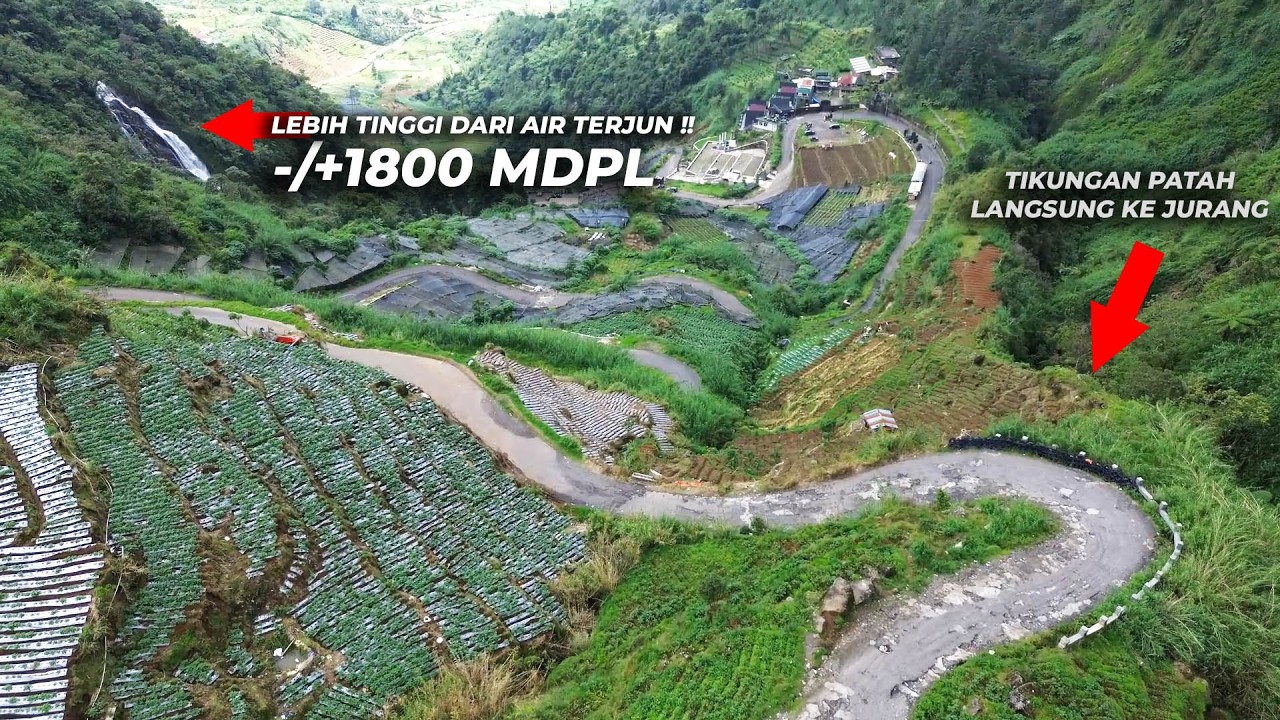 Jalur 