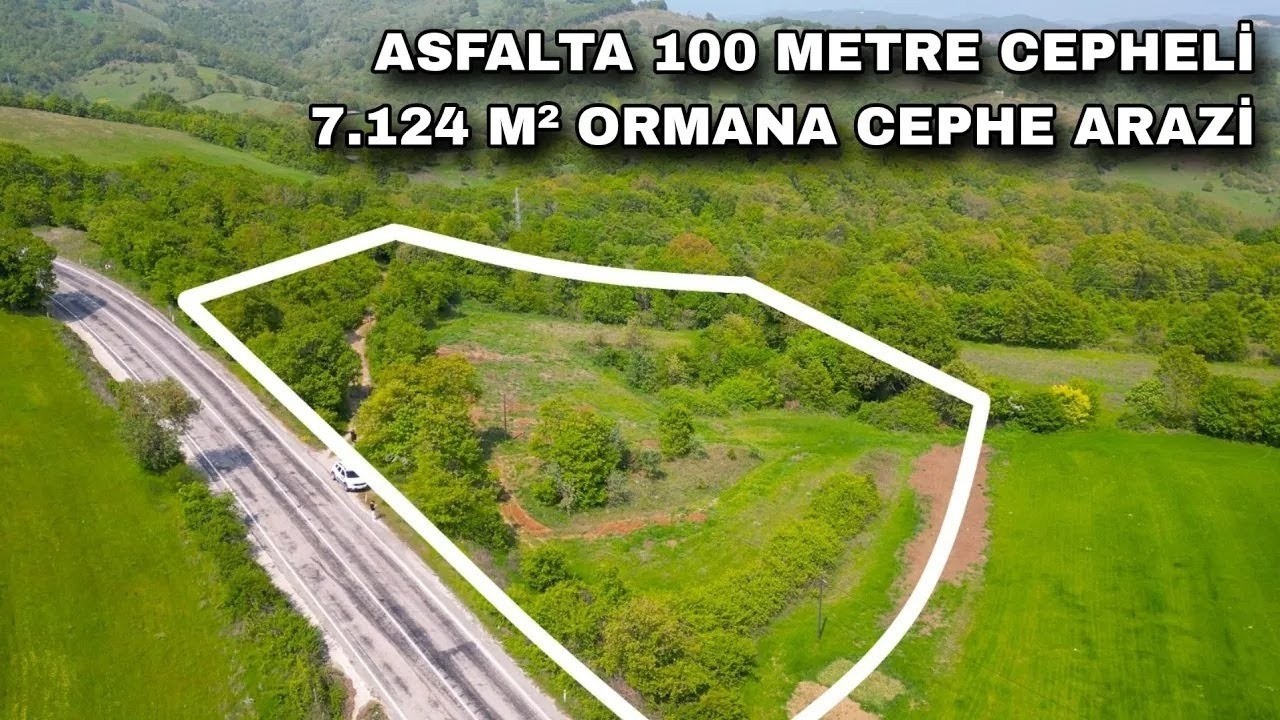 2341- ASFALTA 100 METRE CEPHELİ 7.124 M² ORMANA CEPHE ARAZİ