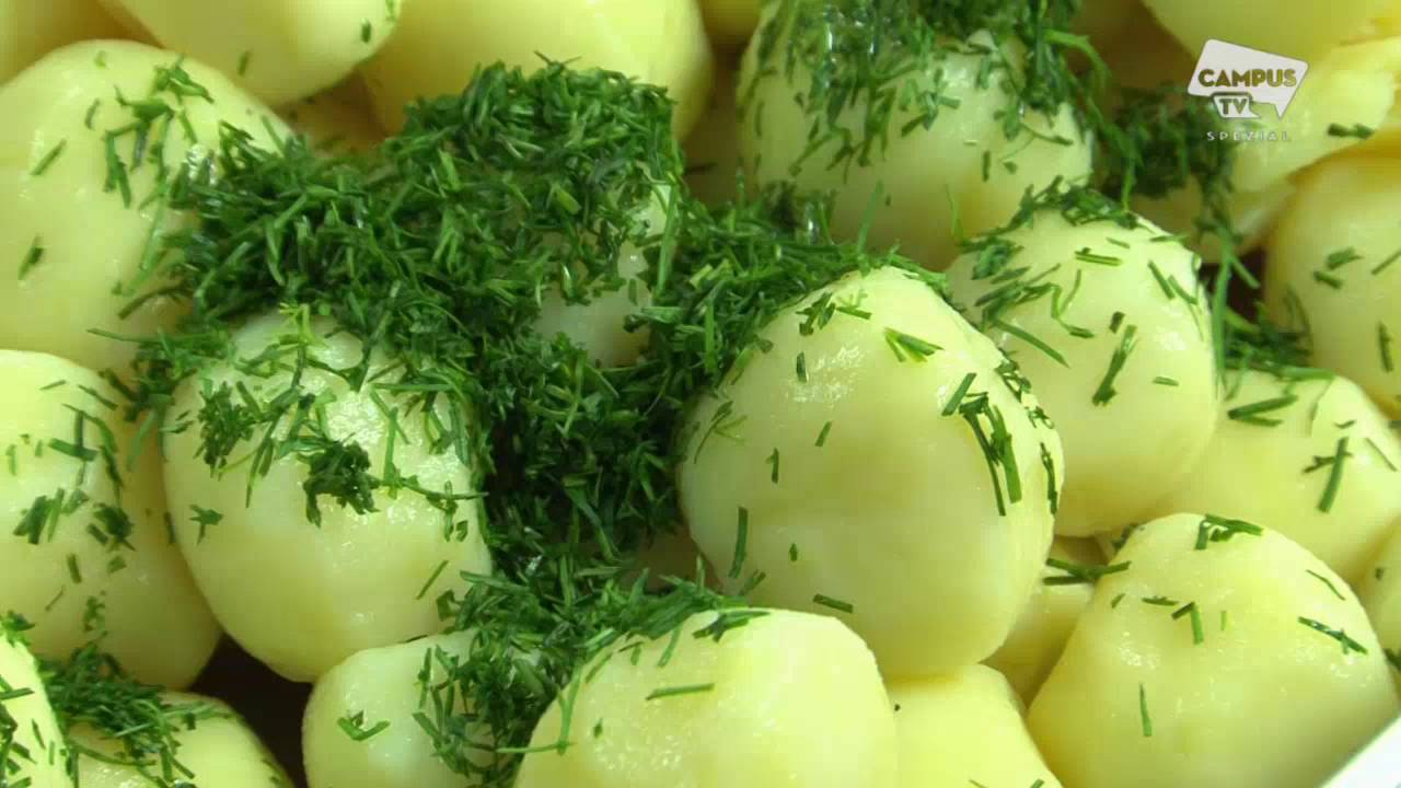 CampusTV - Mensaküche an der Universität Bayreuth