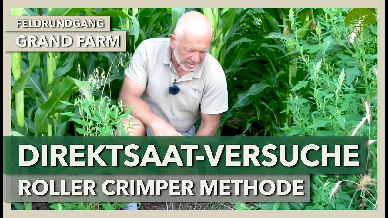 Direktsaat-Versuche mit der Roller Crimper Methode bei Mais und Soja | GRAND FARM | Feldrundgang 3