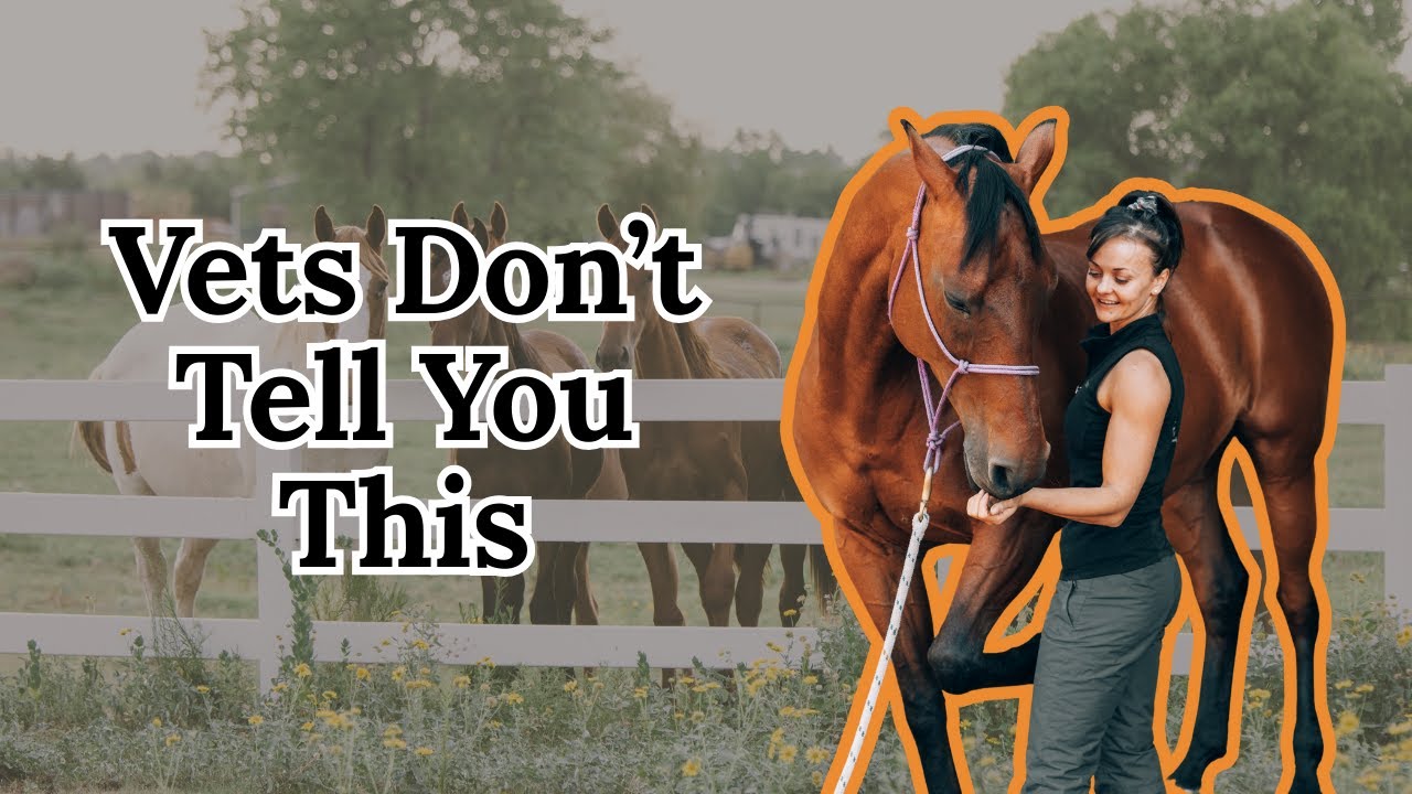 £8K at the Vet… and the Horse Is STILL Lame?!