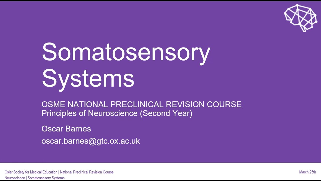 Sensory Systems I