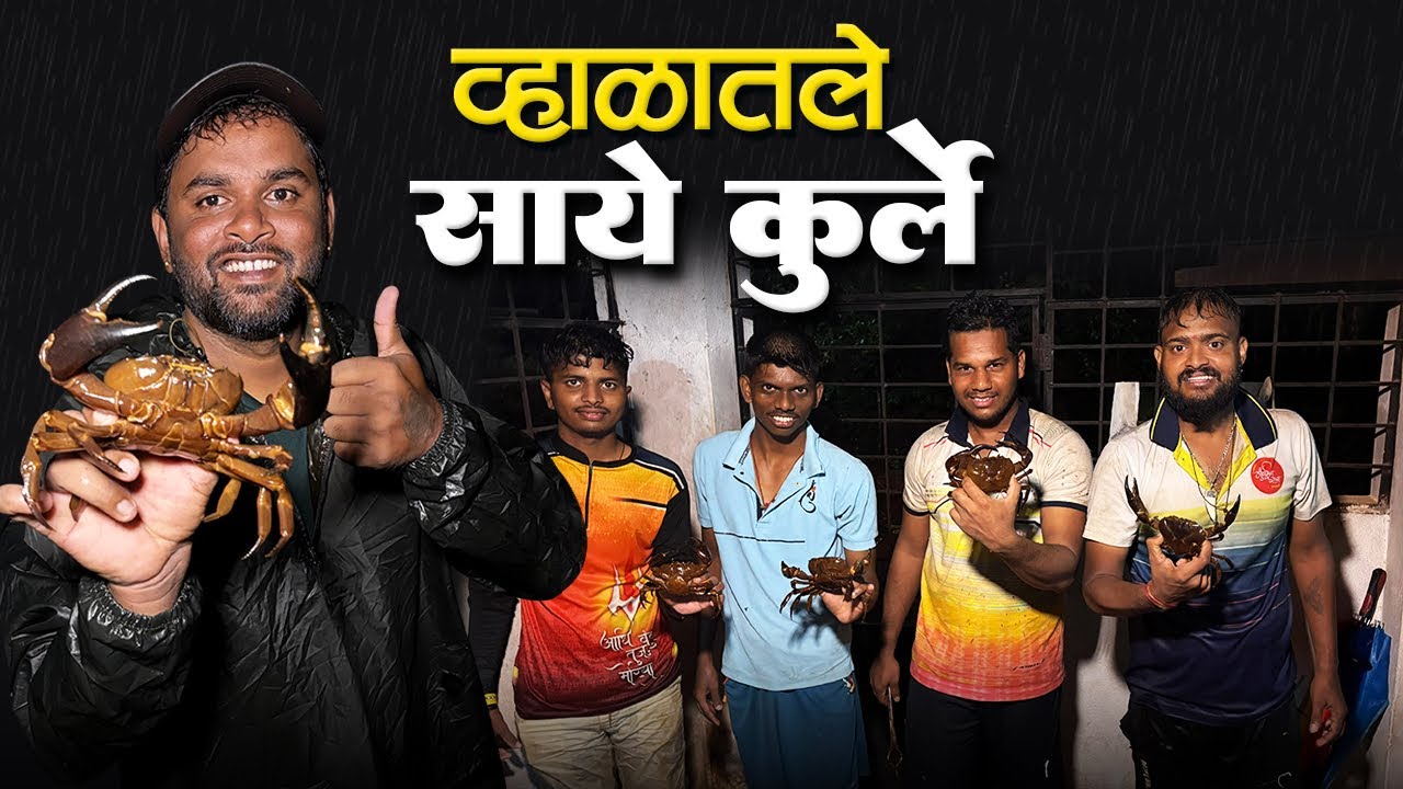 व्हाळातले मोठे साये कुर्ले 🦀 🦀 🦀 | अवकाळी पहिल्या पावसात पकडले भरपुर कुर्ले | Fresh Water Crab