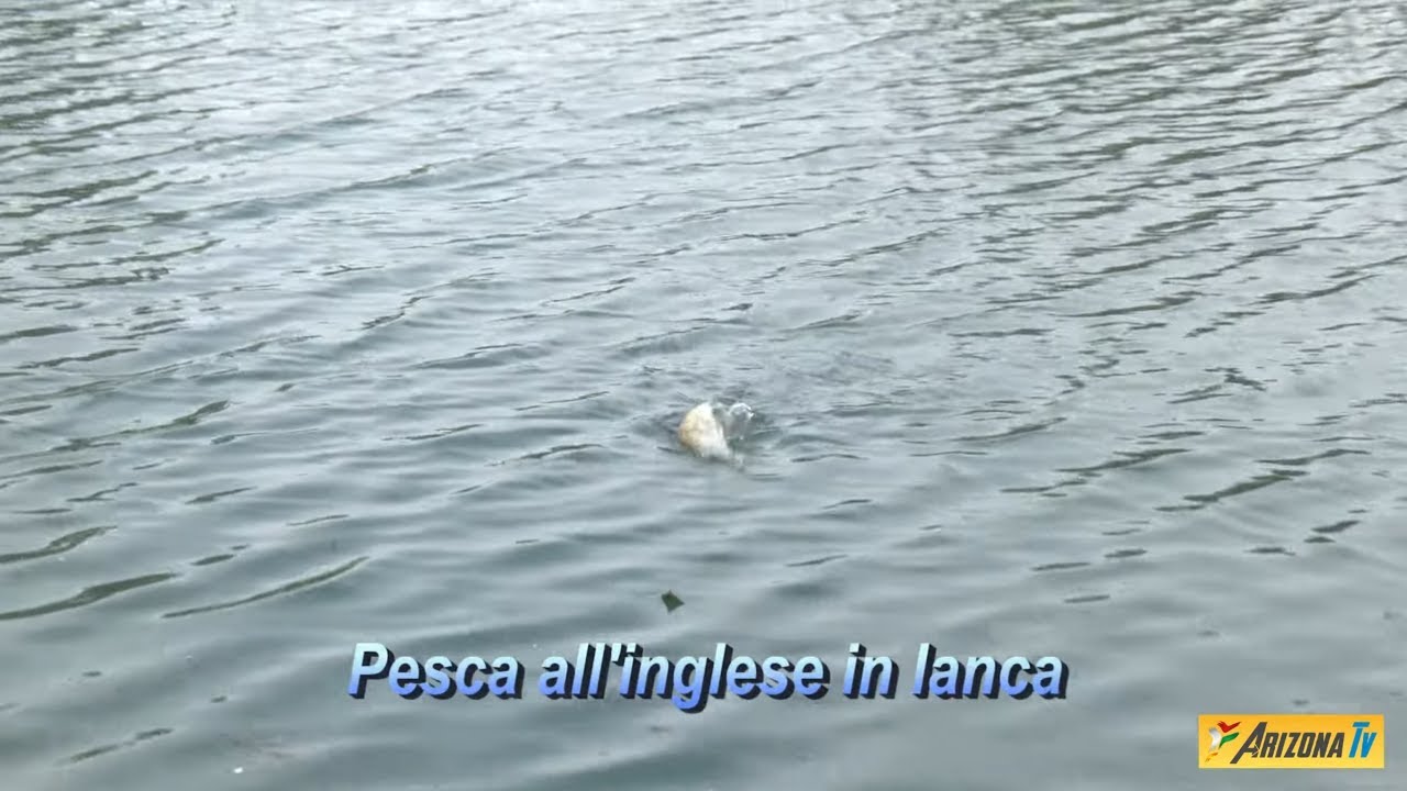 MONDO PESCA - PESCA ALL' INGLESE IN LANCA  -  SOSTENETE ARIZONA TV ABBONATEVI LIGHT  #pescasportiva