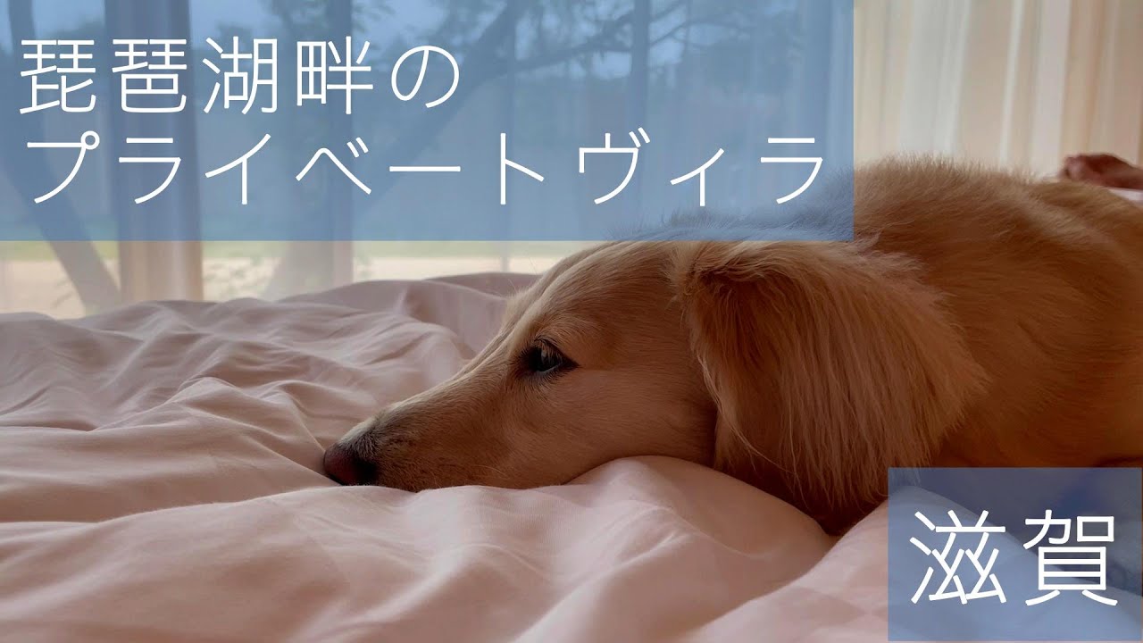 【犬旅】わんこファーストなお宿『ホテルビワドッグ』が快適すぎた