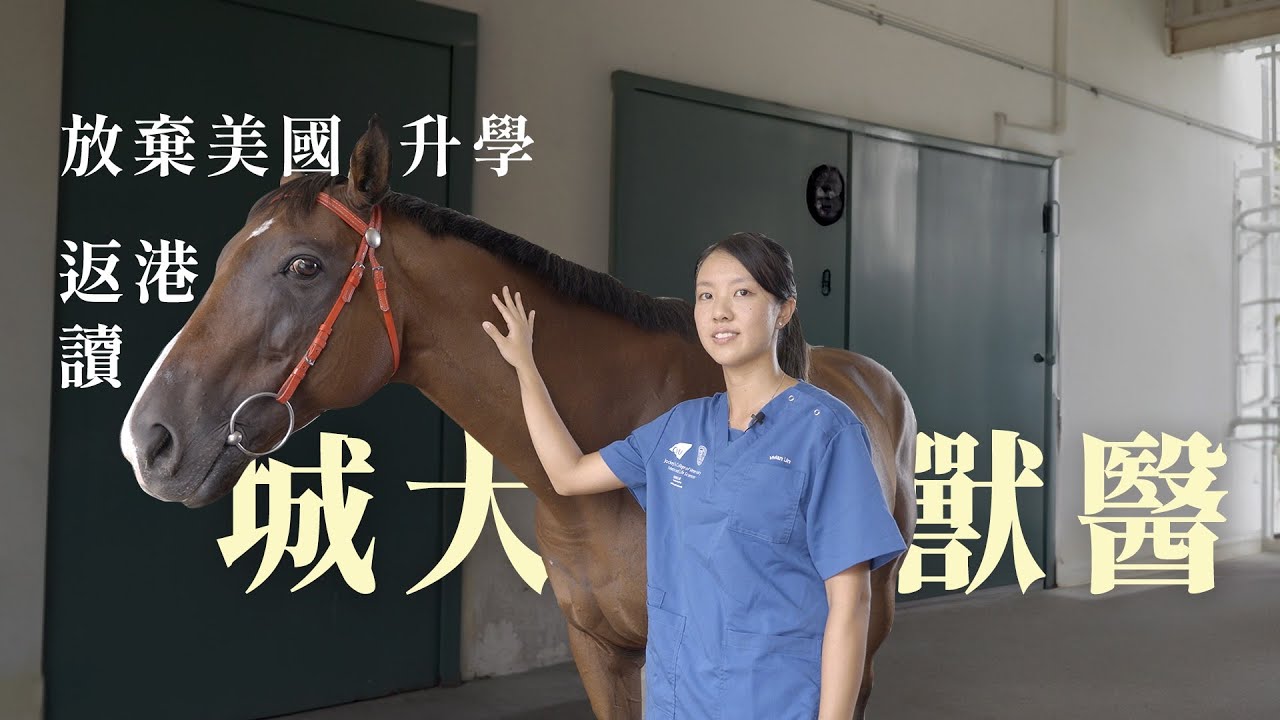 我在香港做#獸醫  話你知獸醫日常｜放棄美國升學 回港城大攻讀獸醫｜醫學生分享與動物們的故事 #veterinary #animals