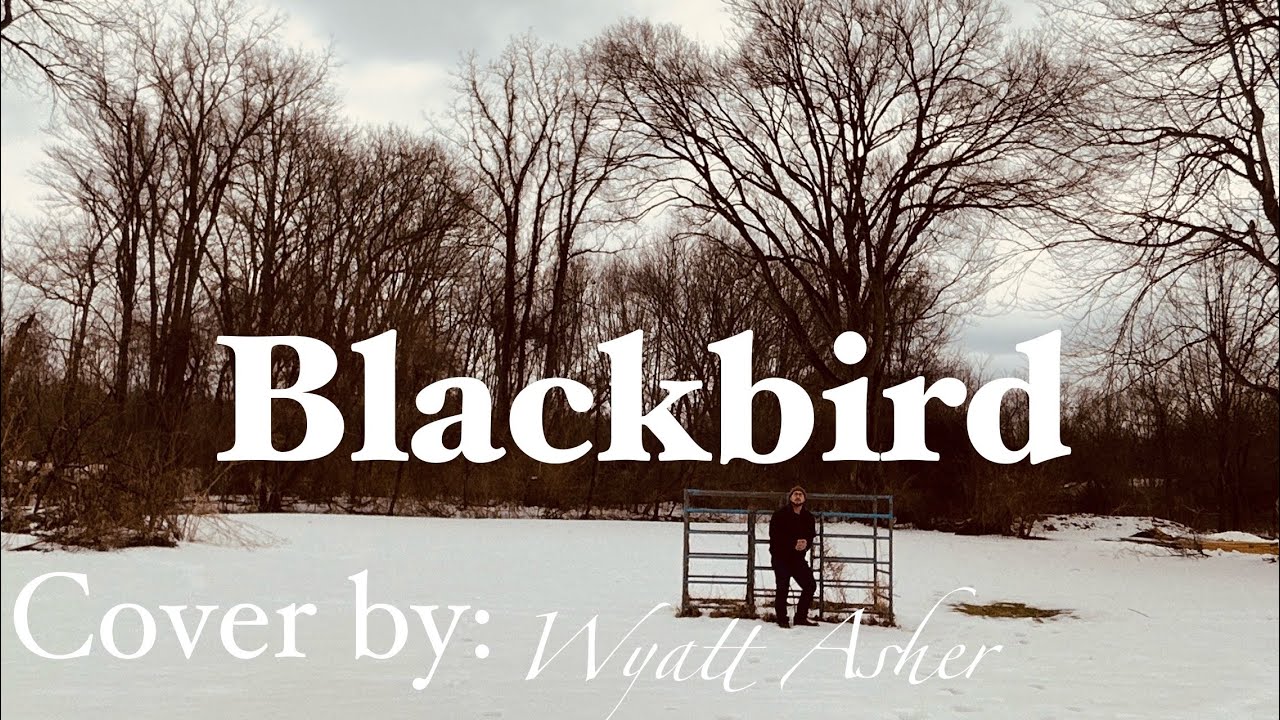 Blackbird Acoustic Cover 