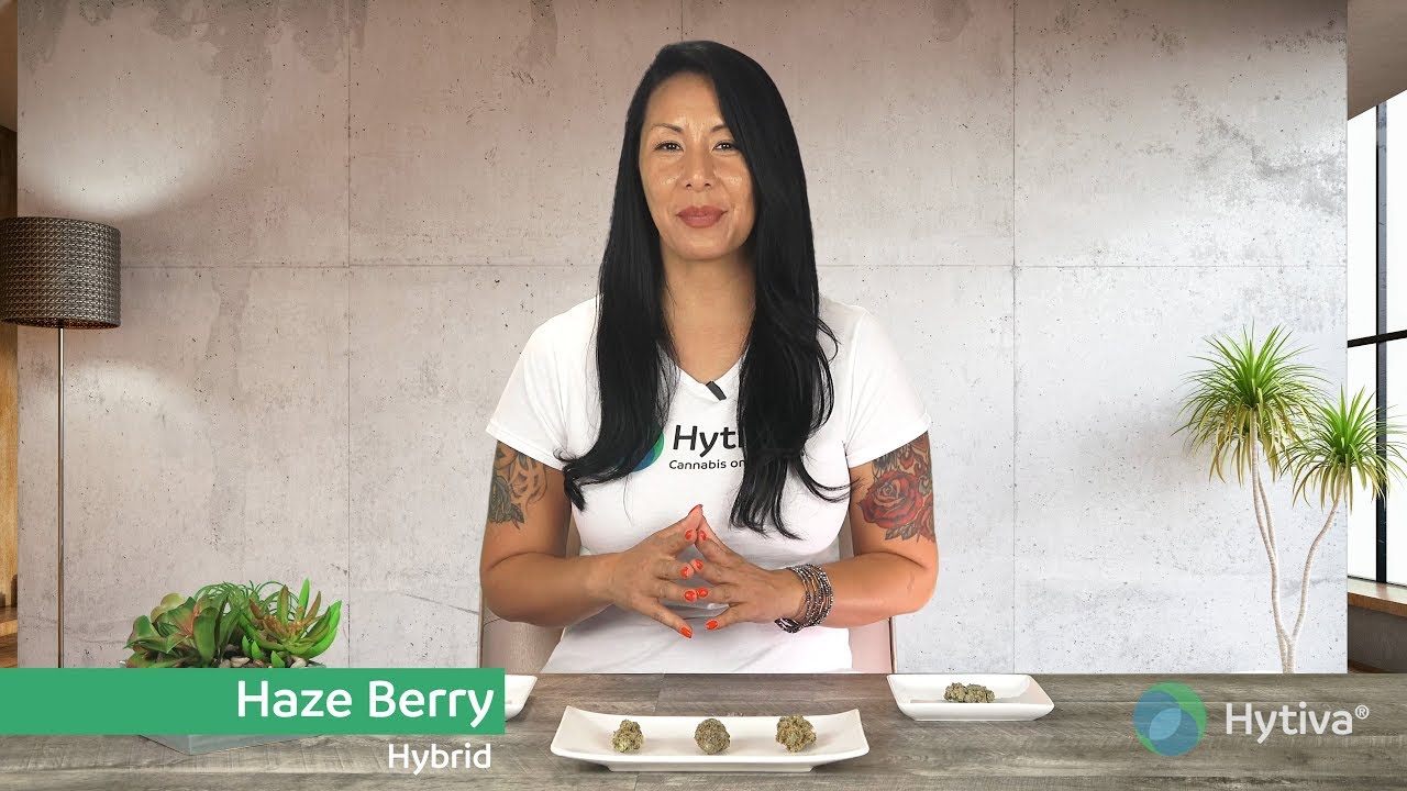 Haze Berry | Strain Review
