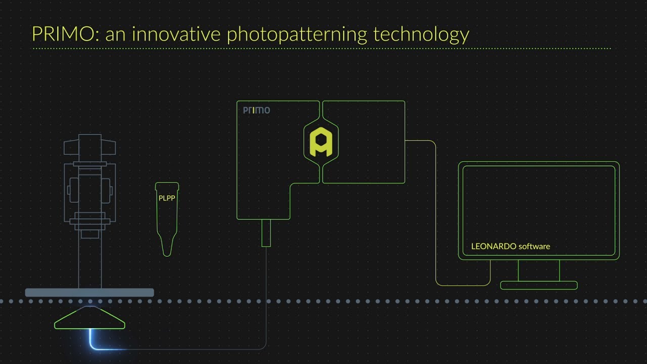 PRIMO: custom cell micropatterning