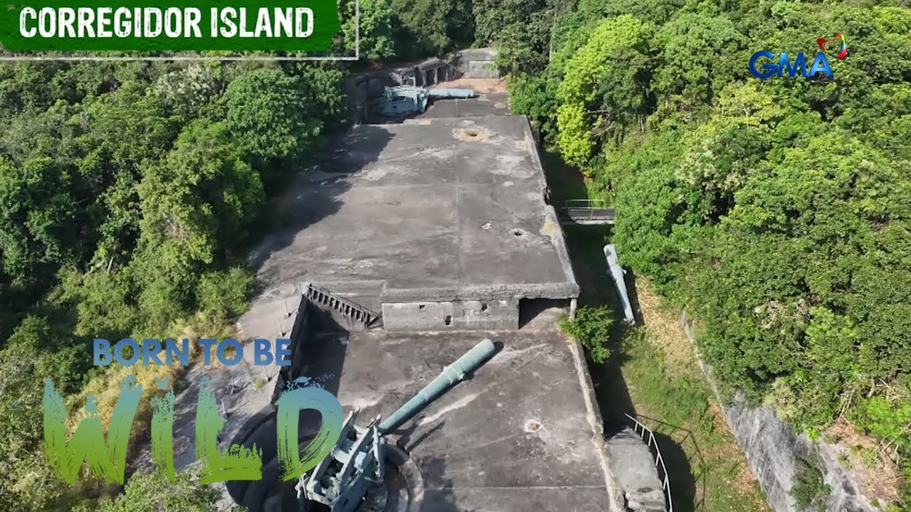 Abandonadong isla ng Corregidor, pinamumugaran ng iba’t ibang buhay-ilang! | Born to be Wild
