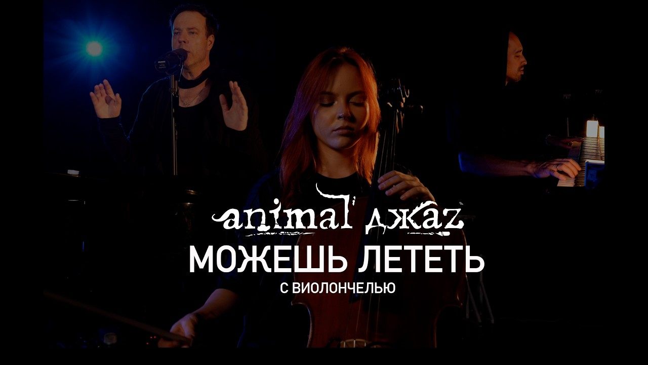 Animal ДжаZ — Можешь лететь (с виолончелью, 2026)
