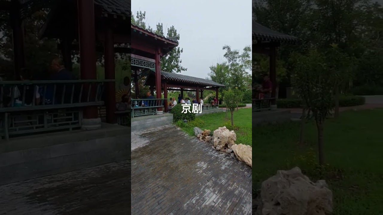 天津 京剧 票友