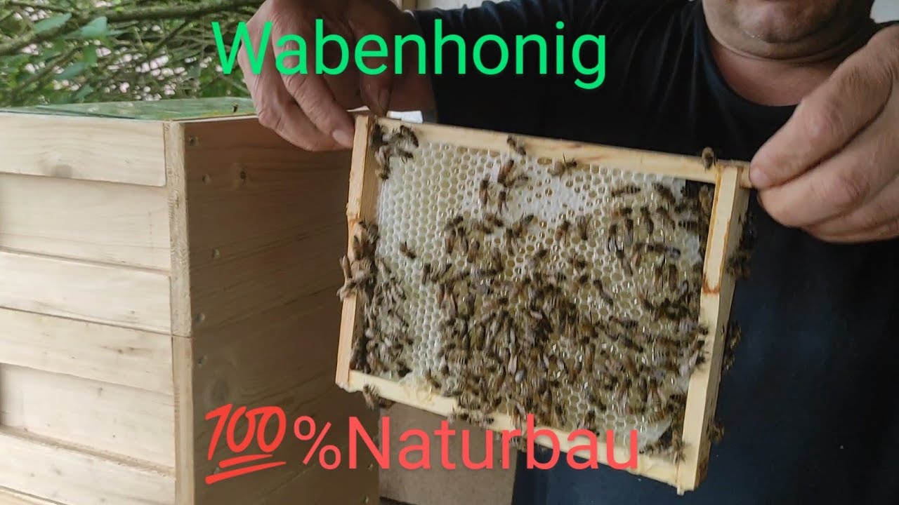 #Imkern #Bienen #Wabenhonig 💯% #Naturbau