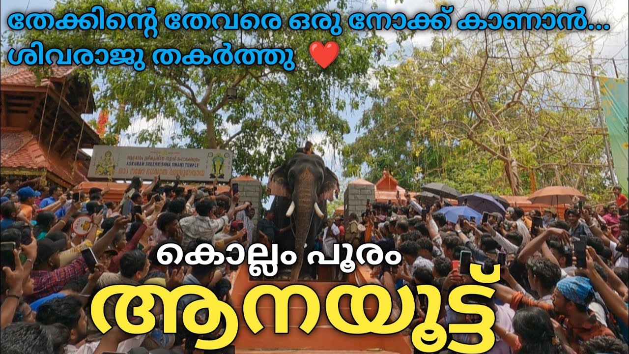 കൊല്ലം ആശ്രാമം ആനയൂട്ട് 2024| കൊല്ലം പൂരം ആനയൂട്ട് |Kollam Pooram Anayoottu 2024