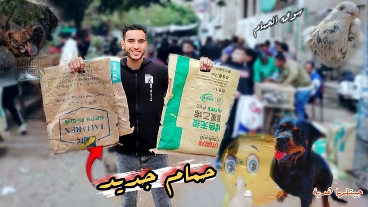 رحت السوق 🤩واشتريت حمام جديد غالي جدا (وجبت هدية للكلبة بتعتي )
