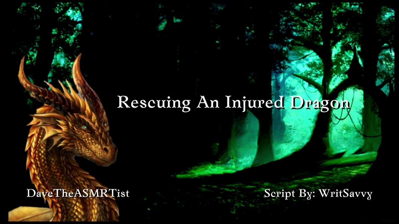 Rescuing An Injured Dragon | ASMR RP [Adorkable] [Enemies to friends] M4A