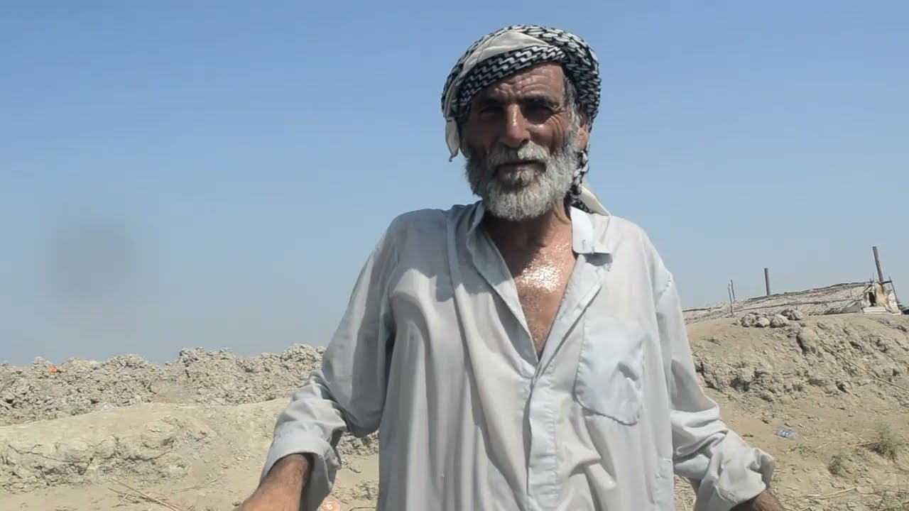 الحجية معلمة البشوش ياكل الحم و الحجي يشوي باذنجان على الجمر